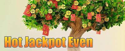 VIP အထူးခံစားခွင့် promotion